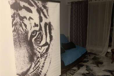 Appartement 1 pièces 780 €