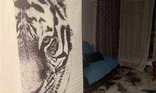 Appartement 1 Pièce 26 m² à louer à Avon (77210)