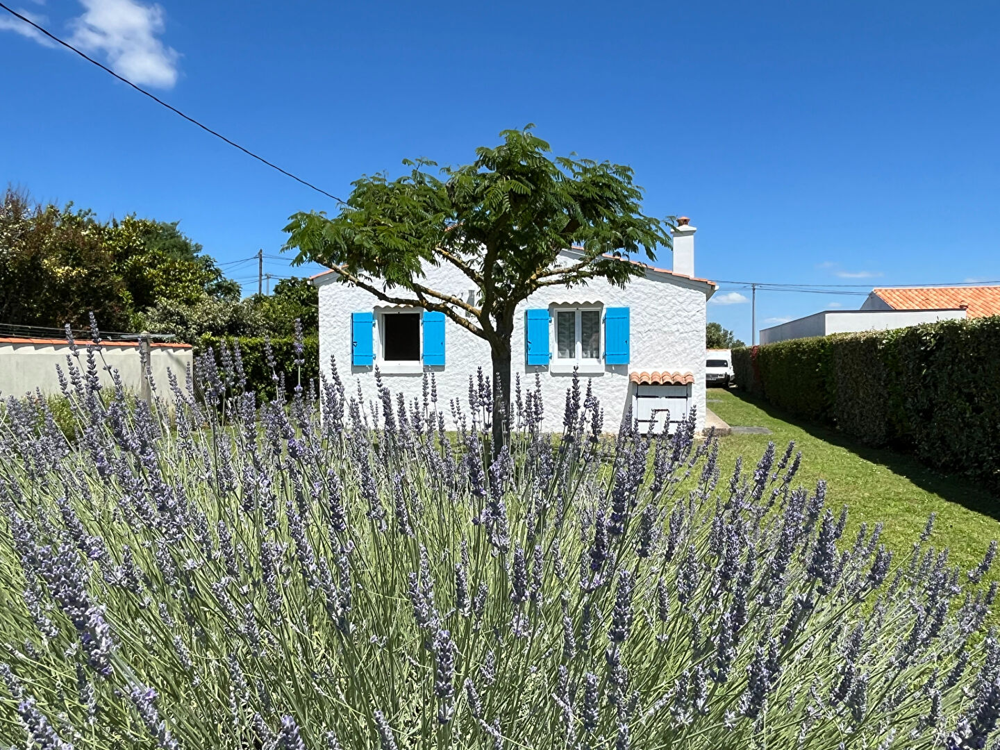 Villa / Maison  T6 à vendre Saint-Pierre-d'Oléron 17310
