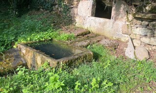 Photo N° 6