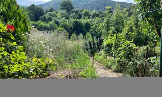 Photo N° 3