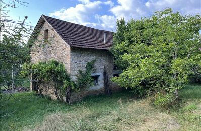 vente maison 91 300 € à proximité de Lanouaille (24270)