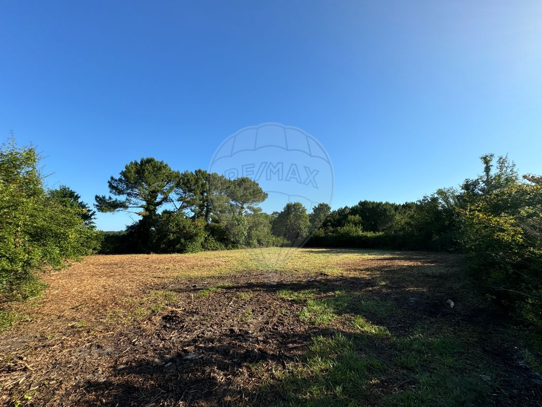 Terrain  à vendre Arvert 17530