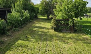 Photo N° 4