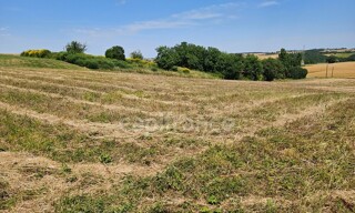 Terrain  3050 m² à vendre à Preignan (32810)