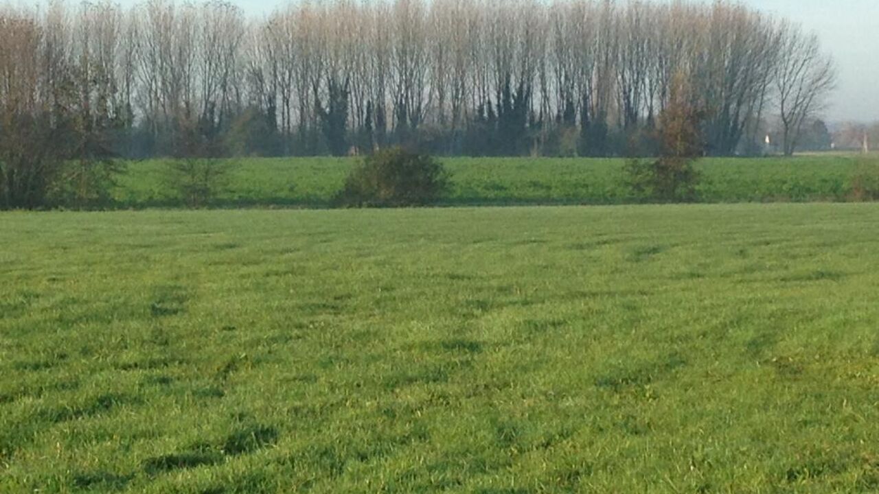 terrain  pièces 525 m2 à vendre à Wargnies-le-Grand (59144)