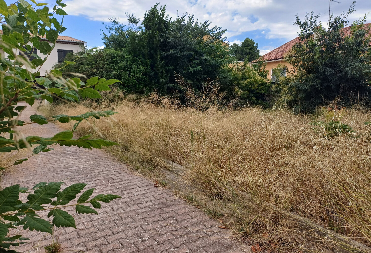 Terrain à Pignan — photo 1