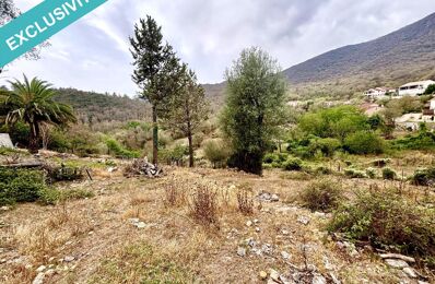 vente terrain 65 000 € à proximité de Poggio-Marinaccio (20237)