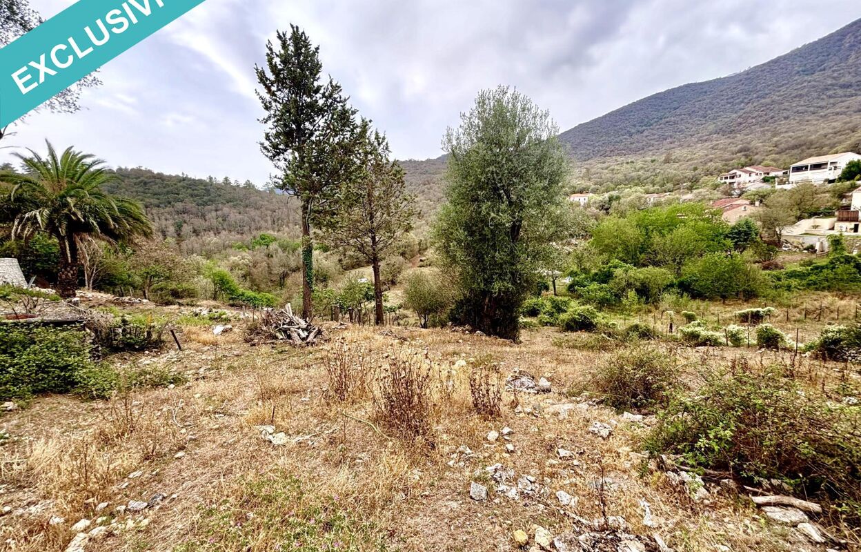 terrain  pièces 1255 m2 à vendre à Piedigriggio (20218)