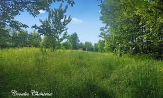 Photo N° 3