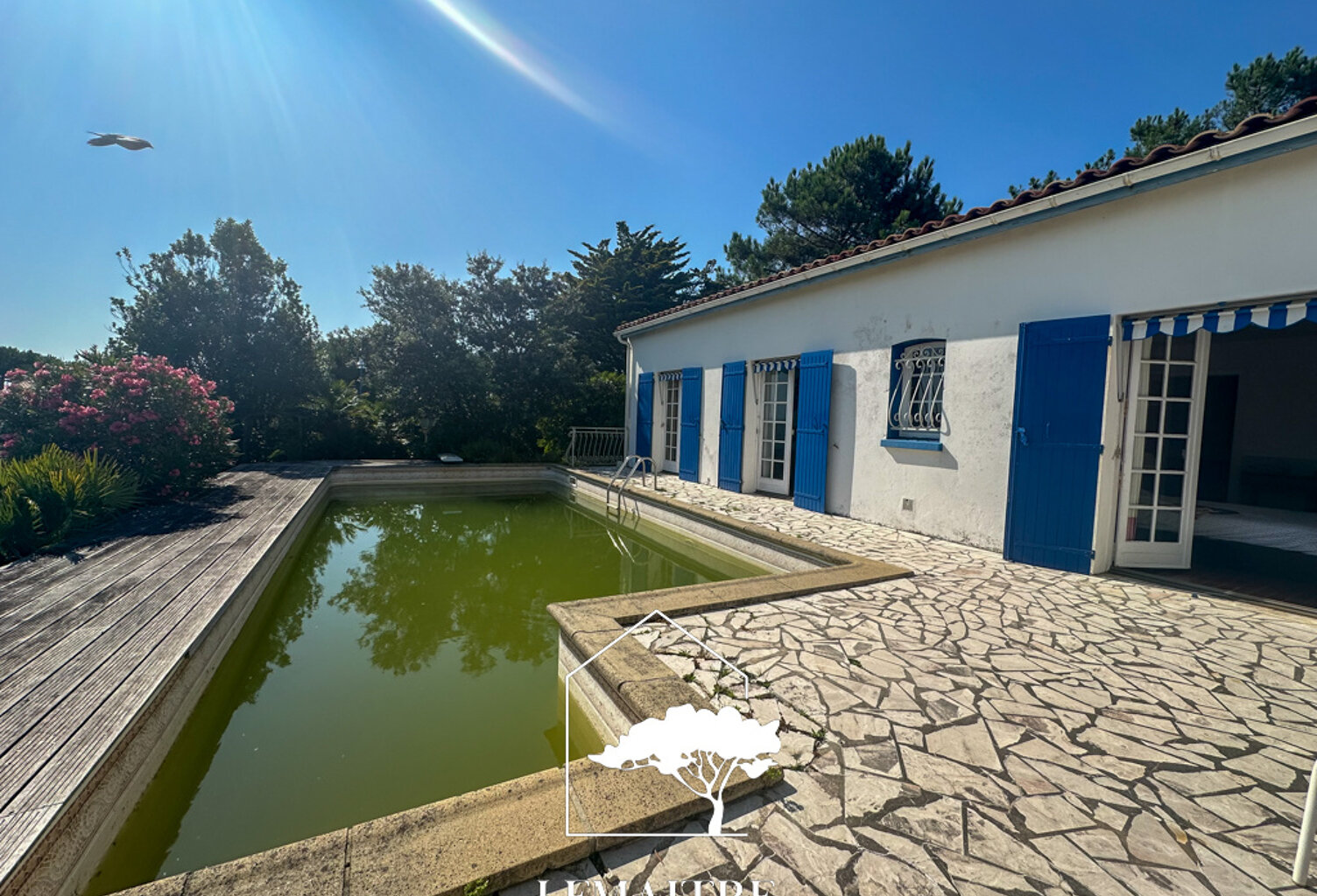  Aperçu mer, rare sur la Palmyre. — photo 1