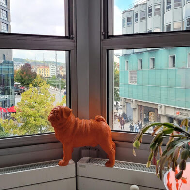 Appartement 5 pièces 319500 €