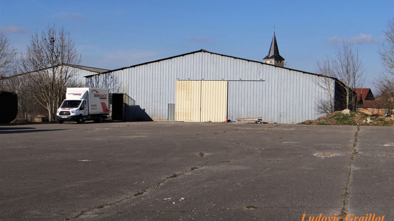 local industriel 1 pièces 7400 m2 à vendre à Saint-Blin (52700)