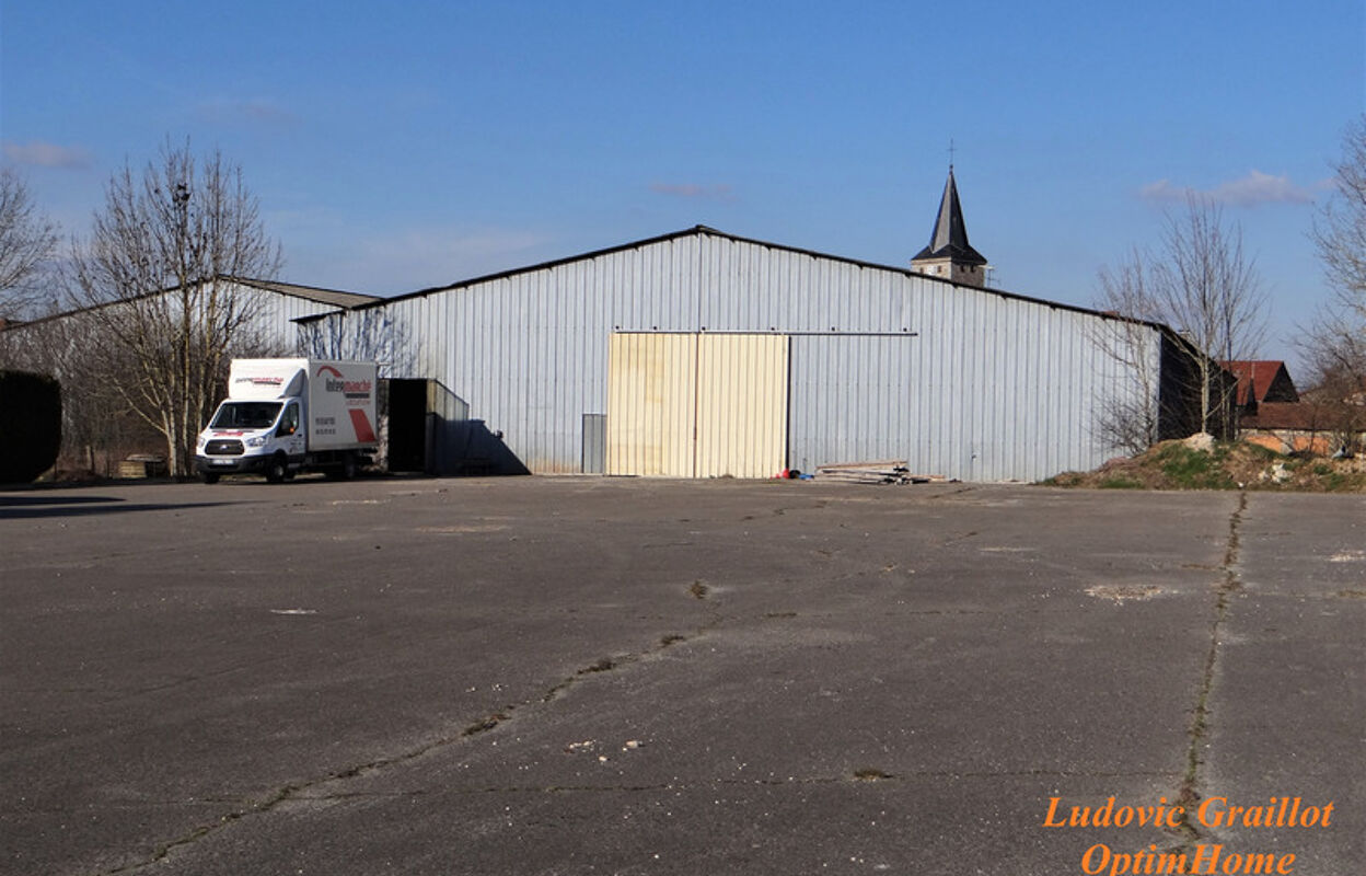 local industriel 1 pièces 7400 m2 à vendre à Saint-Blin (52700)