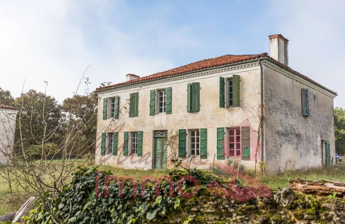 MAISON DE MAITRE — photo 3