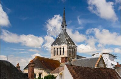 vente maison 245 000 € à proximité de Saint-Père-sur-Loire (45600)