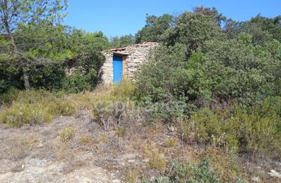 vente terrain 48 000 € à proximité de Saint-Jean-de-Minervois (34360)