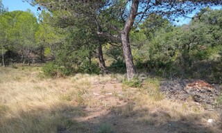 Photo N° 4