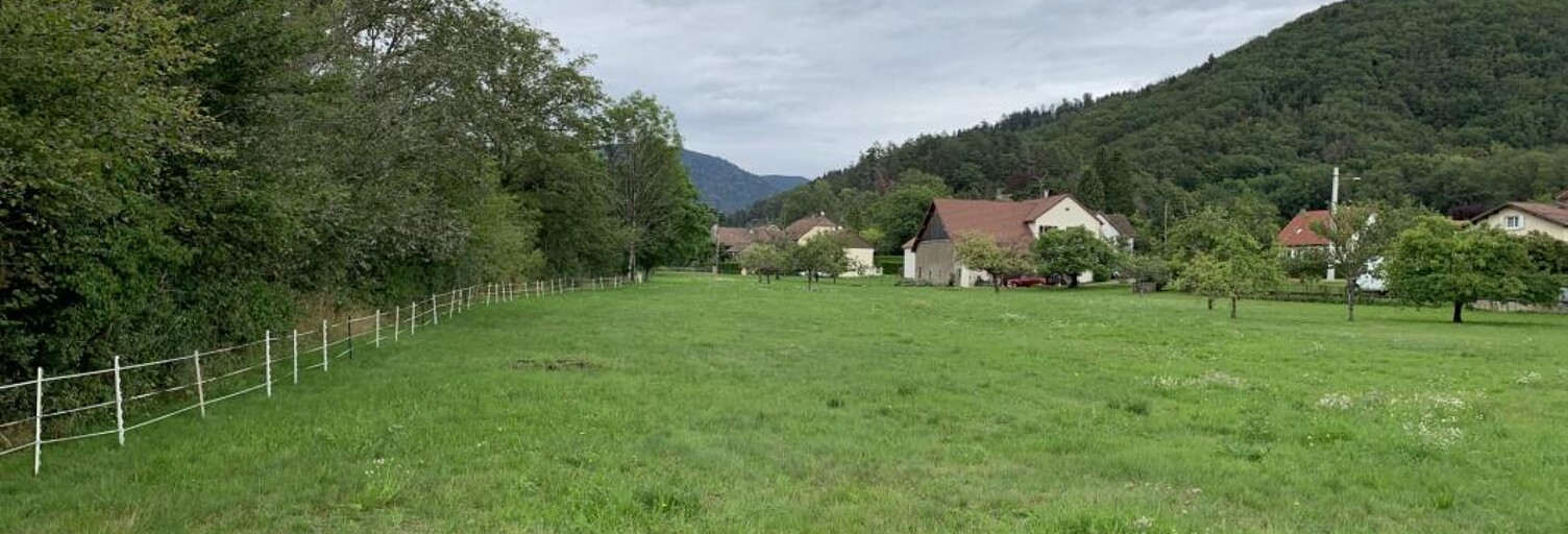 Terrain  1800 m² à vendre à Plancher-Bas (70290)
