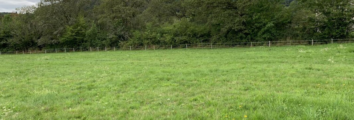 Terrain  1800 m² à vendre à Plancher-Bas (70290)