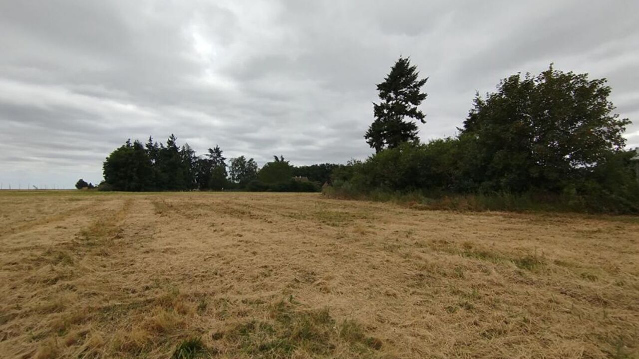 terrain  pièces 1001 m2 à vendre à Selommes (41100)