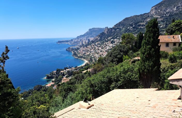 BELLE VILLA D'ARTISTE — photo 4