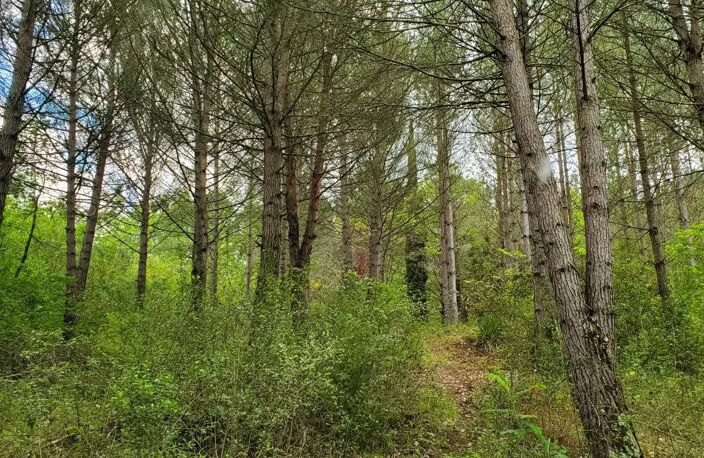 A vendre magnifique terrain bordé par un ruisseau au milieu des — photo 2