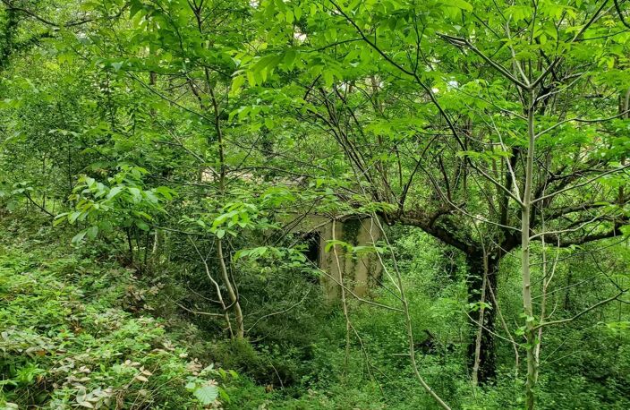 A vendre magnifique terrain bordé par un ruisseau au milieu des — photo 4