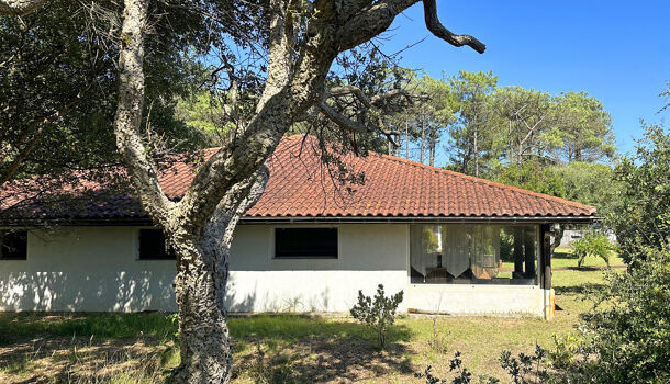 Villa / Maison 4 pièces  à vendre Seignosse 40510
