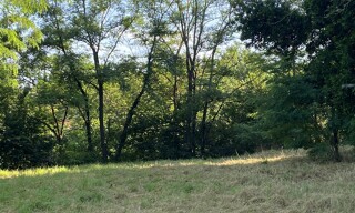 Photo N° 4