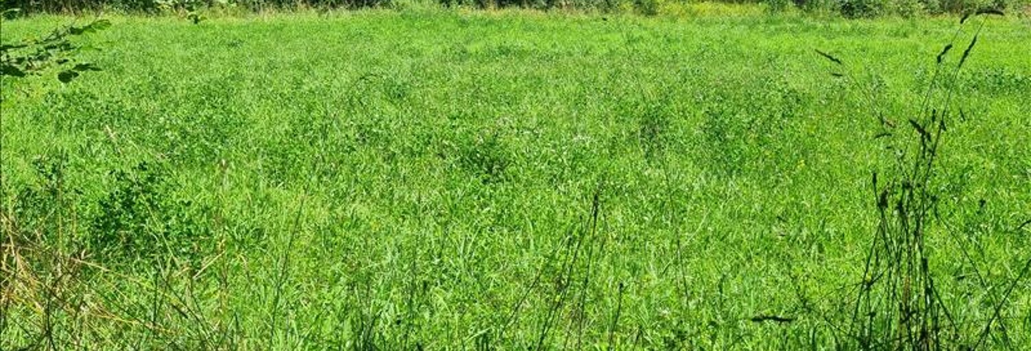 Terrain  1065 m² à vendre à Livinhac-le-Haut (12300)