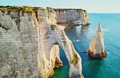 location commerce 750 € CC /mois à proximité de Étretat (76790)