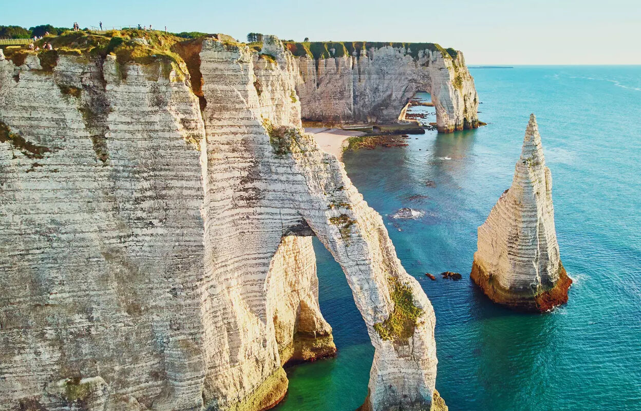 commerce  pièces 160 m2 à louer à Étretat (76790)