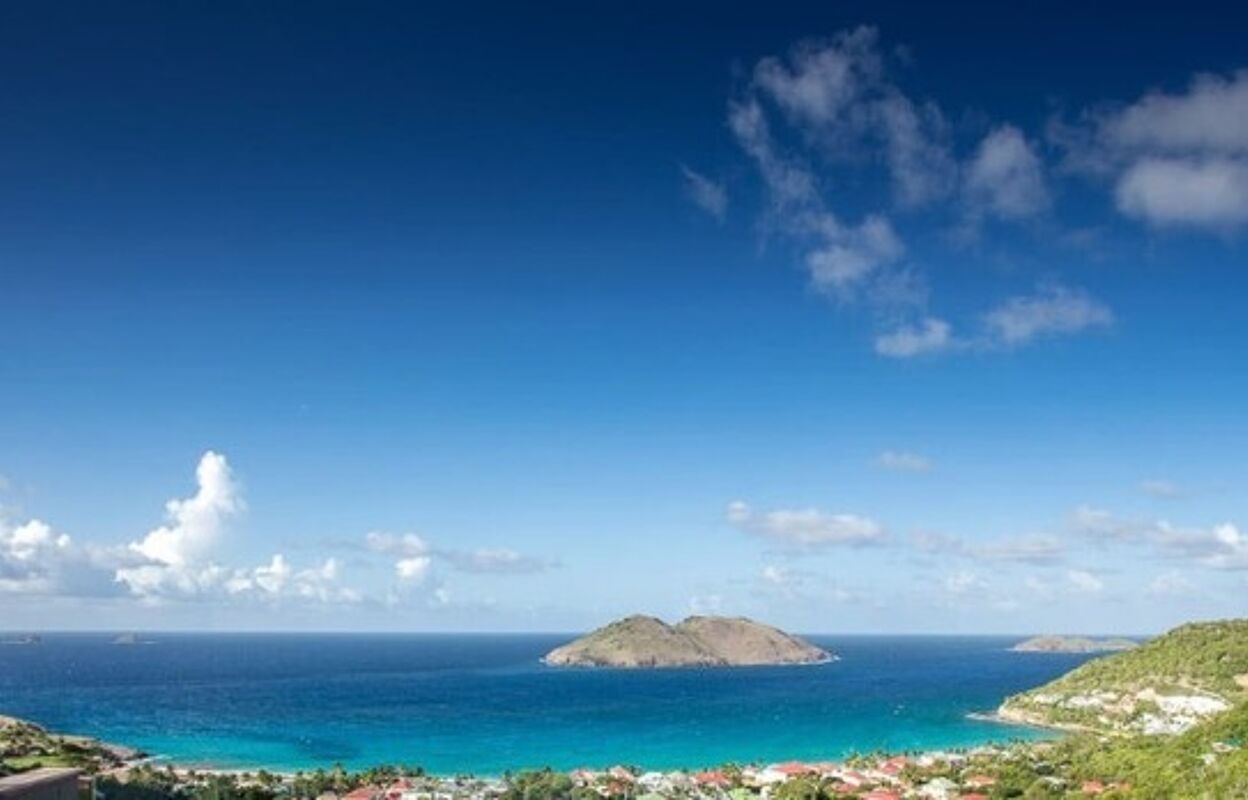 maison 6 pièces 860 m2 à vendre à Saint-Barthélemy (97133)