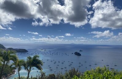 vente maison 13 500 000 € à proximité de Saint-Barthélemy (97133)