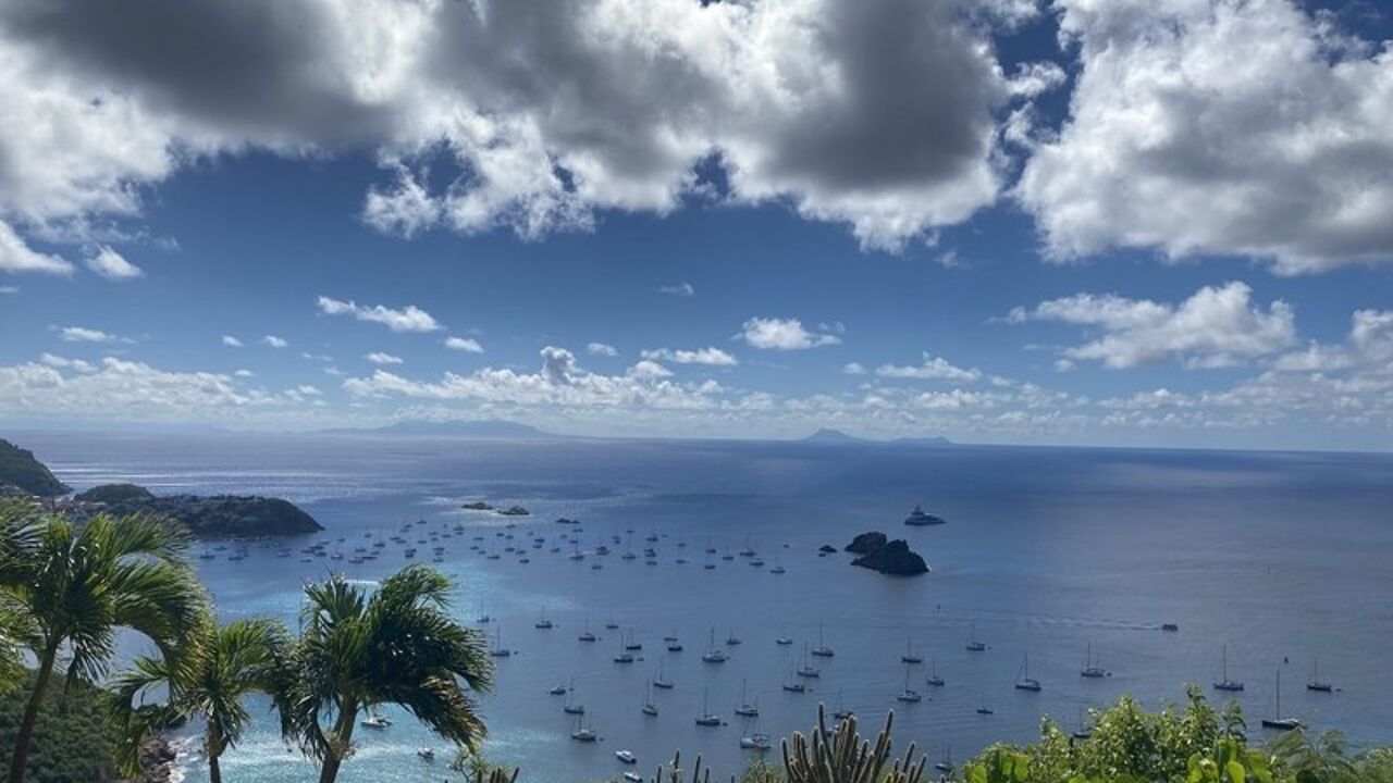 maison 6 pièces 560 m2 à vendre à Saint-Barthélemy (97133)