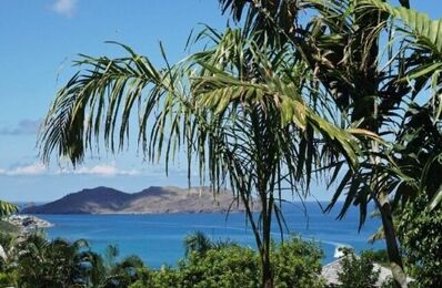 maison 3 pièces 350 m2 à vendre à Saint-Barthélemy (97133)