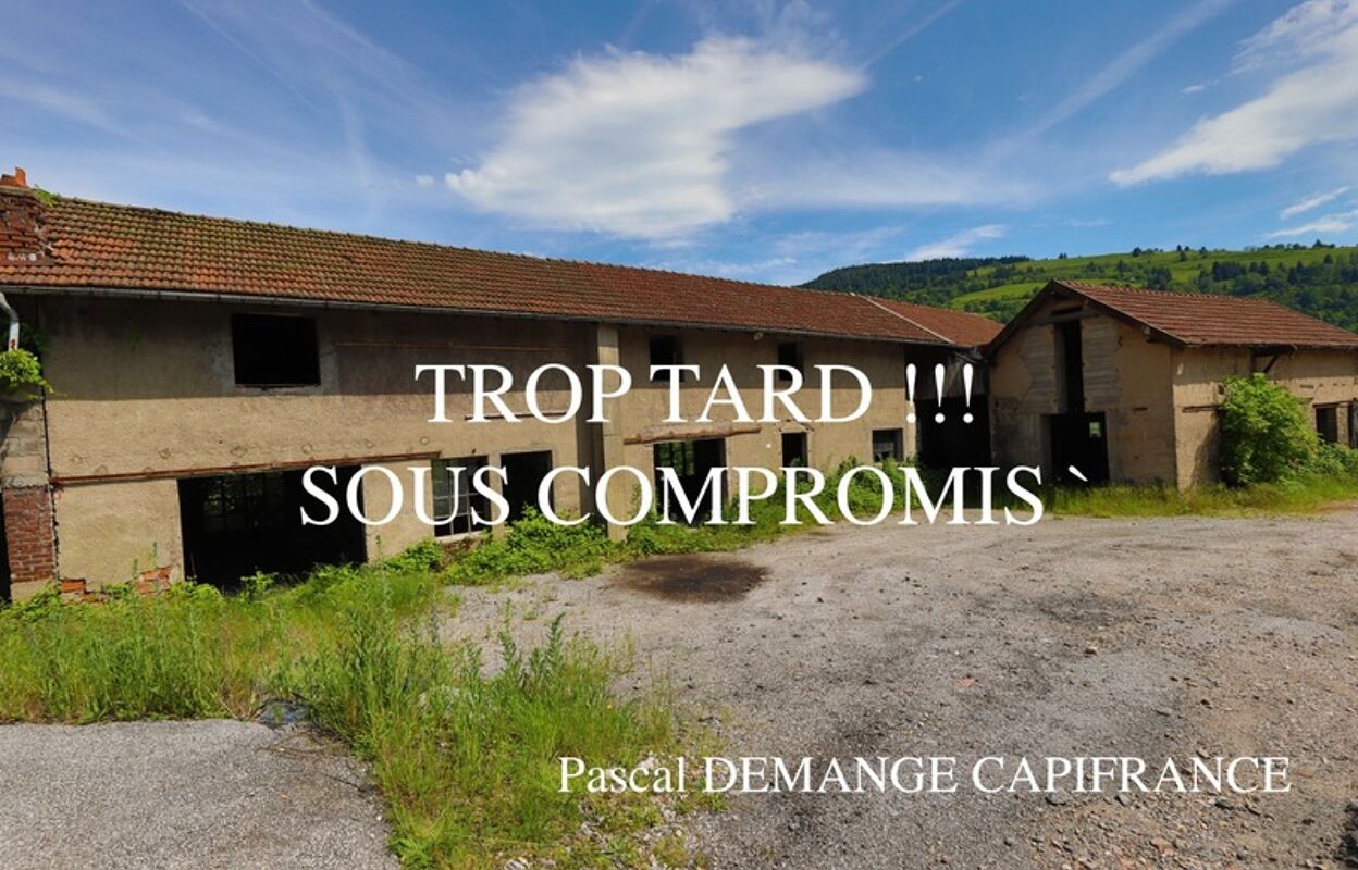 commerce 10 pièces 372 m2 à vendre à La Bresse (88250)