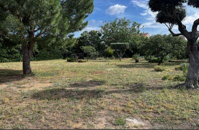 terrain  pièces 1020 m2 à vendre à Marseillan (34340)