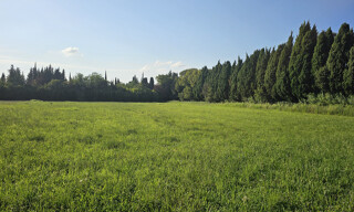 Photo N° 6