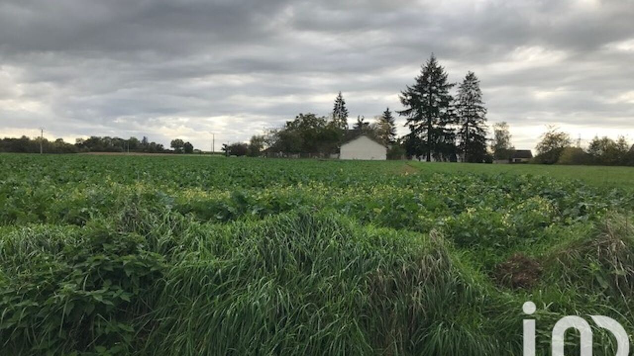 terrain  pièces 2000 m2 à vendre à Beaulieu-sur-Loire (45630)