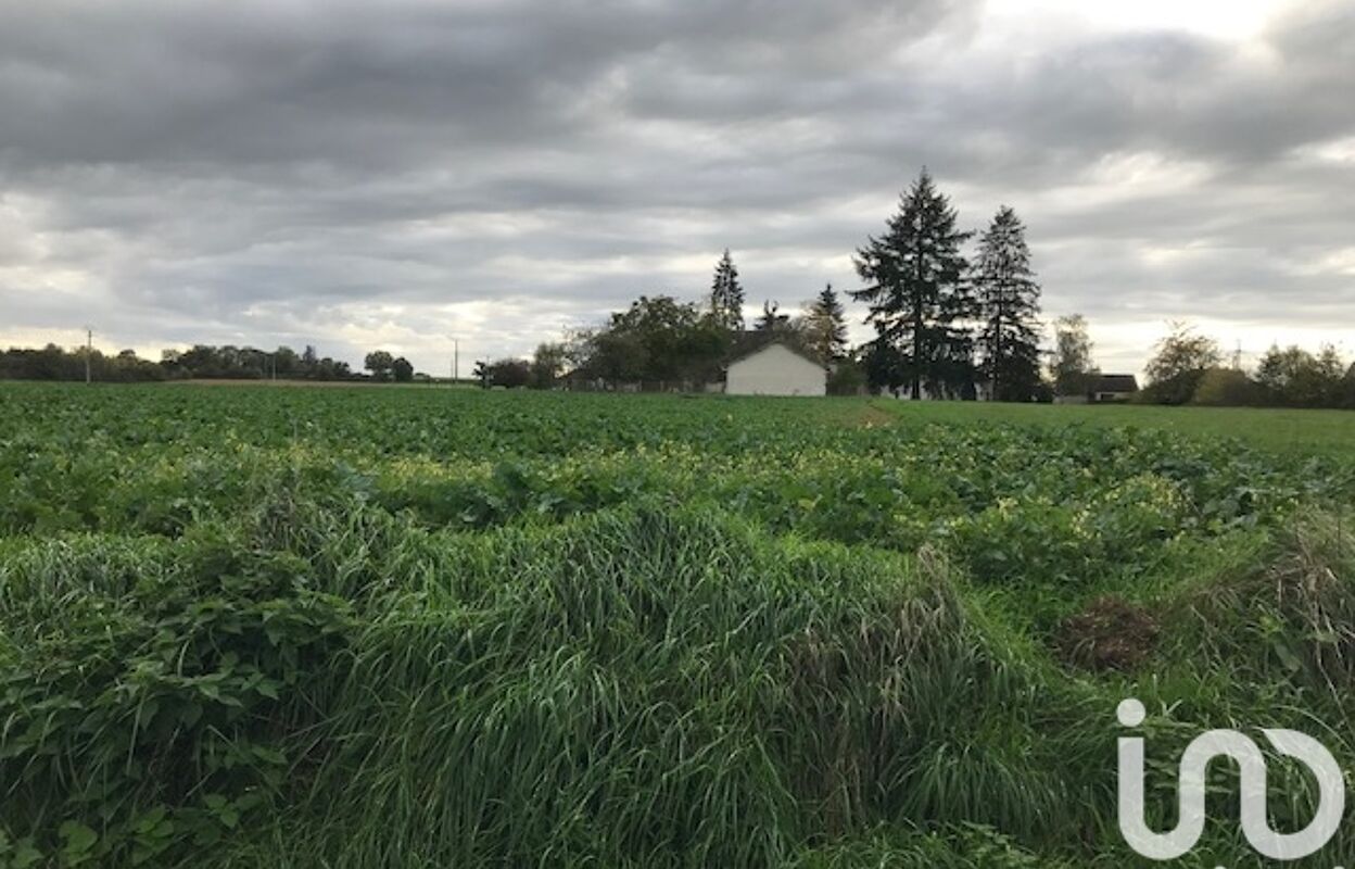 terrain  pièces 2000 m2 à vendre à Beaulieu-sur-Loire (45630)