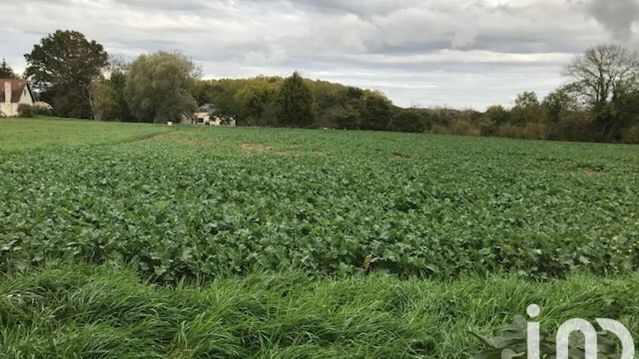 terrain  pièces 2000 m2 à vendre à Beaulieu-sur-Loire (45630)