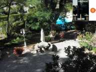magnfique hôtel particulier  en viager libre ( couple 76 ans) en LOZERE — photo 4