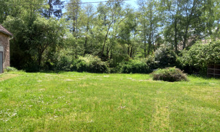 Photo N° 6