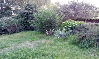 Photo N° 7