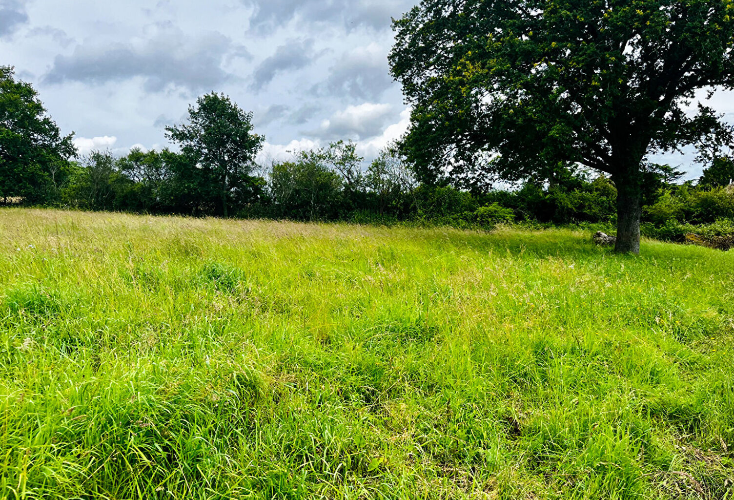 CHARBUY Terr 1600 m² — photo 1