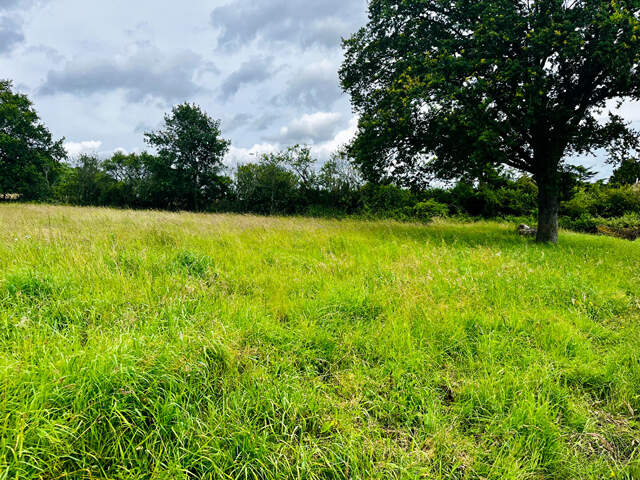 CHARBUY Terr 1600 m² — photo du bien
