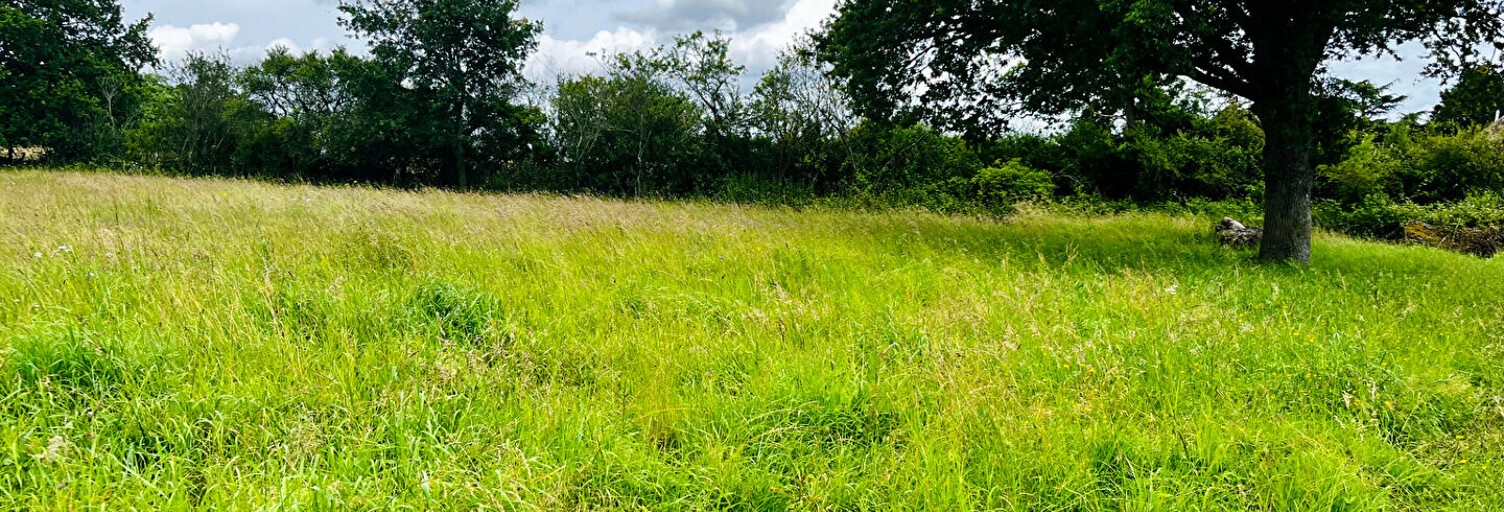 Terrain  1600 m² à vendre à Charbuy (89113)