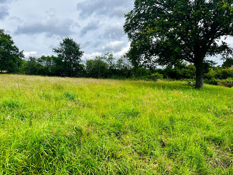 CHARBUY Terr 1600 m² — photo 1